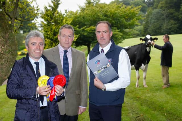 Outlinng plans for Holstein NI's January show and sale at Moira are, from left: Stuart Smith, chairman; auctioneer Michael Taaffe; and Ashley Fleming, area manager, Cogent Breeding UK, sponsor. Picture: Columba O'Hare/Fotacol