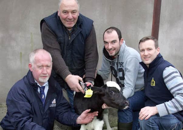 Chatting about the upcoming Fintons Show :David Vance, Ai Services, Derek and John Edgar, from Co Fermanagh, and Andrew Kerr, Countryside Services.