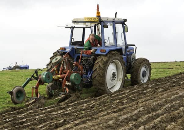Allen McAnally, from Ballyboley, on his way to the Championship at Listooder Ploughing match last year.