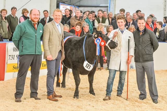 Presentation with Adam Henson Overall Supreme Champion 2015, Sooty, a Limousin Cross Heifer, bred by Bowen and Bowen and owned by Welsh farmers Rhidian and Cai Edwards [T C Edwards & Sons]