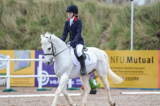 Rachel Lockyear riding Lord Gregory, 2nd in the Intro class