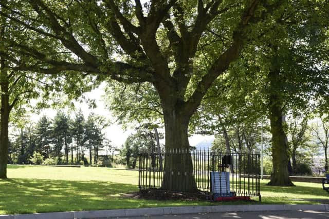 The Peace Tree at Woodvale Park, Belfast