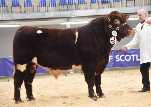 Hussar of Upsall from The Hon G Turton selling for the top price of 9,500gns.