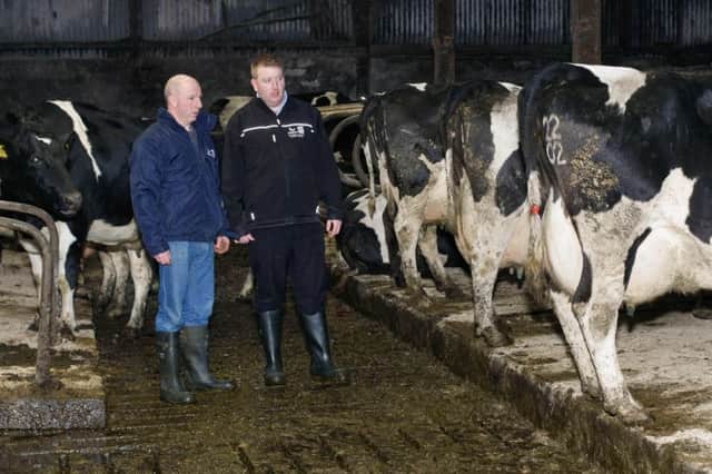Farmer Alan Johnston and Conor Loughran, Genus ABS look over the cattle on the Johnston farm at Newtownhamilton. Photograph: Columba O'Hare