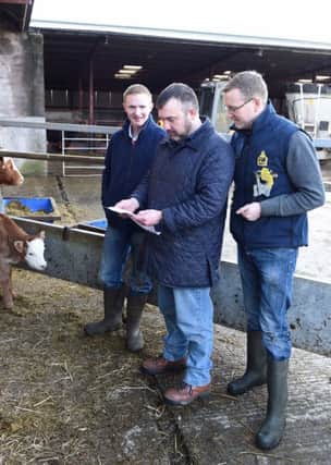 Moy farmer, Dougie McKenzie, left and Andrew Kerr, right, Countryside Services check some of the BVD results with veterinary surgeon, John Henderson from Orchard Vet Centre, Armagh