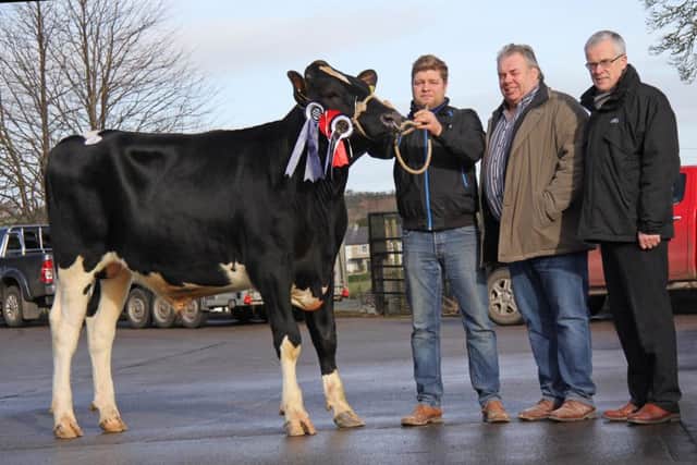 Reserve champion was Glasson Supremo exhibited by Simon Haffey, Portadown. Included are judge Kenny Boyd, Glaslough; and sponsor John Henning, Danske Bank.