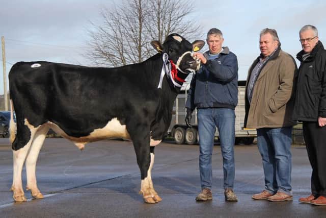Supreme champion and winner of the PLI Award was Relough Future ET sold for a top price of 3220gns by Malcolm McLean, Donaghmore. He was congratulated by judge Kenny Boyd, Glaslough; and sponsor John Henning, Danske Bank.