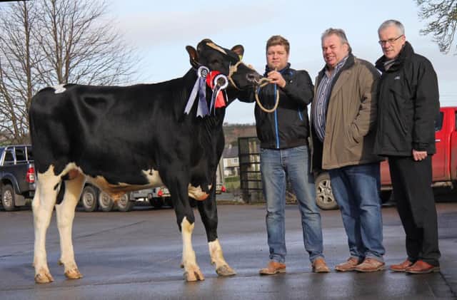 Reserve champion was Glasson Supremo exhibited by Simon Haffey, Portadown. Included are judge Kenny Boyd, Glaslough; and sponsor John Henning, Danske Bank.