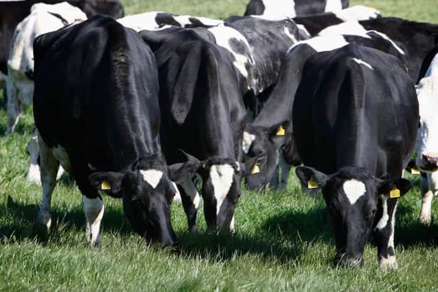 Making more use of forage can help the viability of the farm business.
