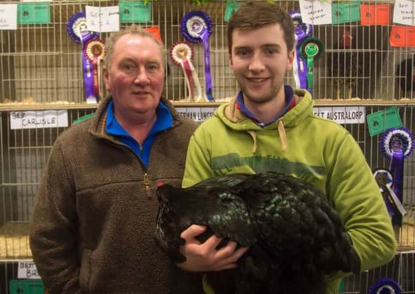 Alfred and Andrew Sleator best Large Black Orpington pictured at the Ulster Poultry Federation Bird show held in Ballymena on Saturday. PICTURE MATT STEELE/MCAULEY MULTIMEDIA