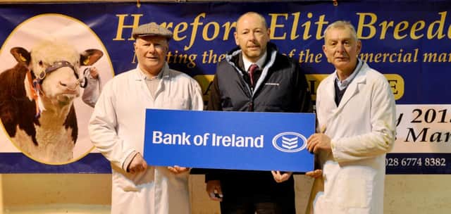 Garth Williamson from Bank of Ireland discussing plans for the Hereford Elite Breeders sale on Monday 22nd February with Mervyn Richmond and Robin Irvine. 27 bulls have been catalogued for the event in Dungannon Farmers Mart.
