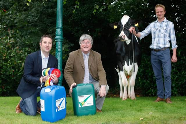 Confirming sponsorship of next week's Holstein NI show and sale at Moira are the club's vice chairman John Berry; sponsor Hugh McCluggage, Kilco; and committee member Adam Watson. Picture: Columba O'Hare/Fotacol