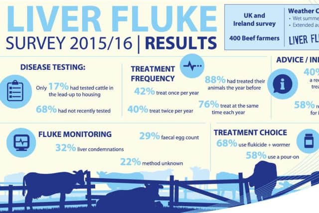 Norbrook beef farmer survey results infographic