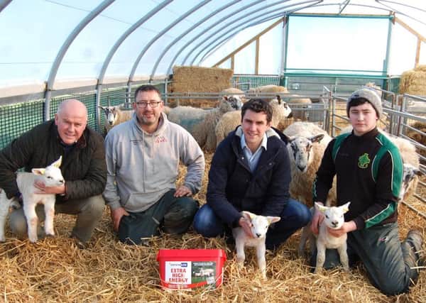 Lambing got underway at Drumgooland Texels on February 5th this year. Earlier this week David Morgan from Caltech-Crystalyx (left) and Christopher Walls, from Joseph Walls Ltd: Hilltown and Clough (second from right) called in with Paul OConnor (second left) and his son Baillie to see the new crop of lambs.