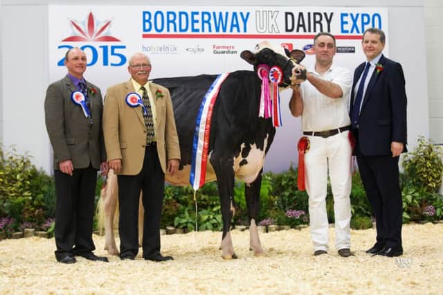 2015 Champion of Champions 'Richaven Goldwyn Squaw 6' is pictured with Barclay Phoenix, Hank Van Exel, Richard A Bown and Brian Richardson