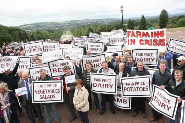 A farmers protest held at Stormont last year to highlight the crisis in agriculture