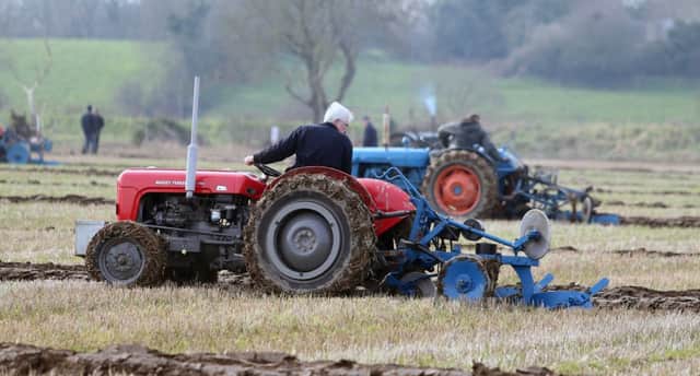 Pictured at the 101st Mullahead Ploughing Match held at the Richardson Estate in Portadown on Saturday. PICTURE STEVEN MCAULEY/MCAULEY MULTIMEDIA