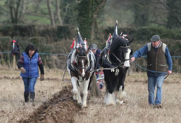 The Hanna Team Pictured at the 101st Mullahead Ploughing Match. PICTURE STEVEN MCAULEY/MCAULEY MULTIMEDIA