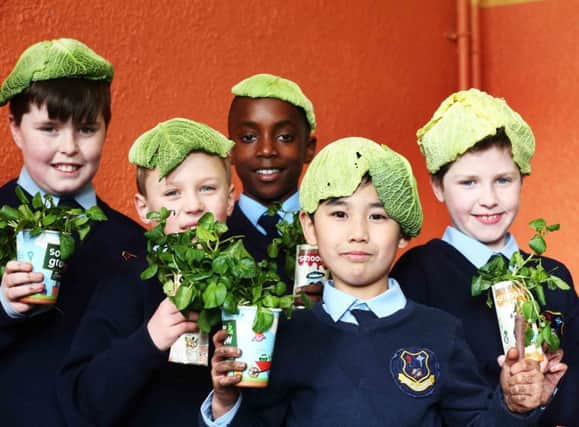 Pictured are Aarron Dillon (11), Alan Morta (7), Ephraim Dean (8), Michael Brady (10) and Daniel Iakhoa (12) from Our Lady of Good Counsel Boy's National School in Drimnagh. The Innocent Drinks and GIY Sow and Grow project enables school children across Ireland to grow their own food in the classroom this spring using free growing packs which will be distributed by GIY and innocent, see sowandgrow.innocentdrinks.com  Photocall Ireland
