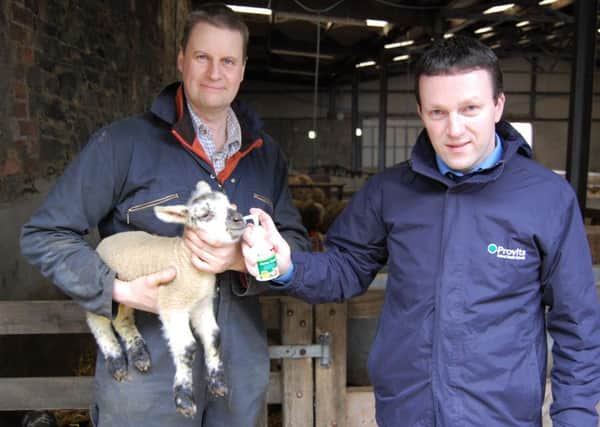John Martin, from Gordonall Farm, discusses the potential for an exceptionally high lambing percentage this year with Provita's Tommy Armstrong while a newborn triplet lamb receives the recommended two shots of Jump Start