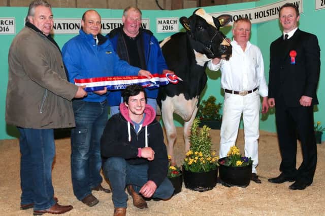 Supreme overall champion and exhibitor-bred champion was Glaslough Miss Persia owned by David, Kenny and Trevor Boyd, and shown by Denis O'Neill. They were congratulated by sponsor Gavin Connaughty, Cookstown Dairy Services; and Welsh judge Iwan Morgan.