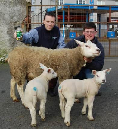 Provita's Tommy Armstrong and Stuart Hammond, from Sandholes, with the new Ewe Two drench