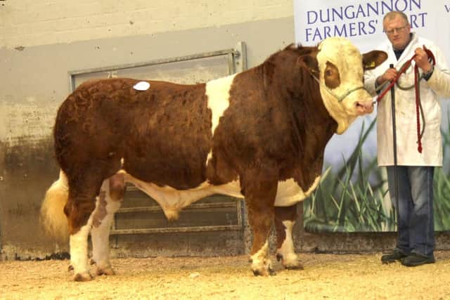 David Farrell, Lisbellaw, realised 4,600gns for the unshown Lakeside Fred.