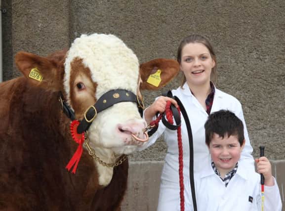 A delighted first-time exhibitor Jamie Bell, Aughnacloy, with his first prize winning bull Drumearn Flame. The bull was shown by Zara Stubbs.