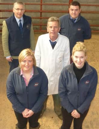 Front (left to right) Sarah Devlin, Nikki Gilbertson, Middle, Tony Hall, Back, Scott Donaldson and Adam Grieve