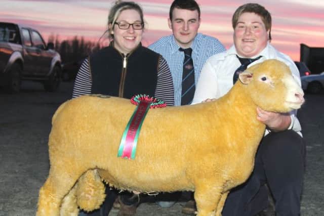 The Spring Ram Sale Champion with breeder Laura Weir, judge James Robson and handler Karen Carson