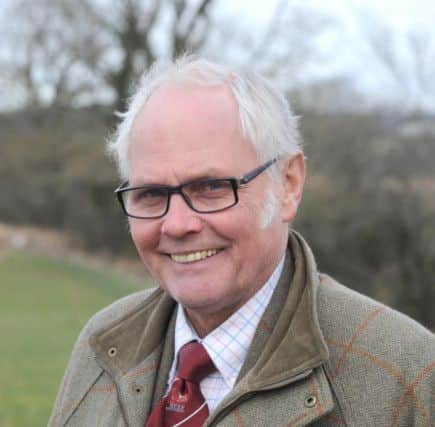 Beef Shorthorn continues on a roll