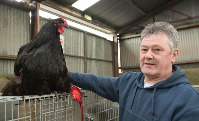 Hugh Reid with his class and show winning Black Orpington Hen at the Raphoe Livestock Mart, Raphoe Poultry Club  Show and Sale.   Picture: Clive Wasson