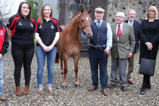 GEE UP. Pictured are Kilraughts YFC members along with sponsors of the Horse Section, John and Beth McIlrath, Stephanie Hayley and William Peden, Show Senior Vice-President.INBM16-16 005SC.