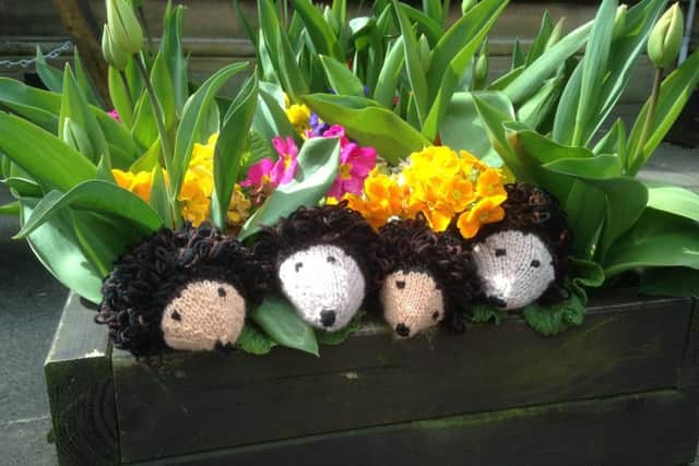 Knitted hedgehogs created for the hedgehog themed Woollen Woods 2016