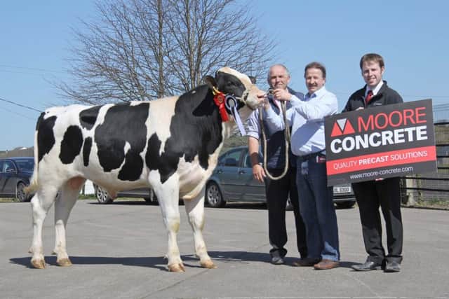 Philip Haffey, Portadown, exhibited the male champion Glasson Geordie sold for 3,000gns. Adding their congratulations are judge Jim Gilliland; and sponsor Jeff Haslett, Moore Concrete.