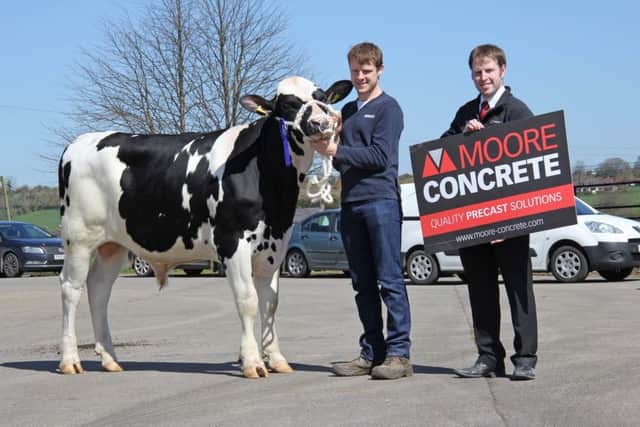 Andrew McLean, Donaghmore, exhibited the second placed Relough Watchman sold for 3,000gns. Also pictured is sponsor Jeff Haslett, Moore Concrete.