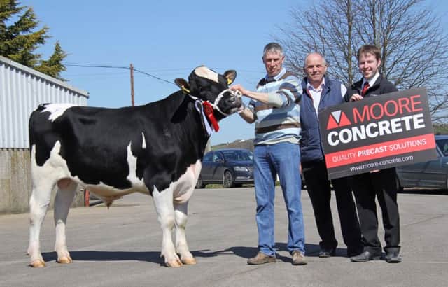 Malcolm McLean, Donaghmore, exhibited the reserve male champion Relough Fandango ET sold for 2,900gns. Included are judge Jim Gilliand; and sponsor Jeff Haslett, Moore Concrete.