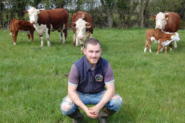 Ciaran Kerr with a selection of Kinnego cows and calves, now out at grass