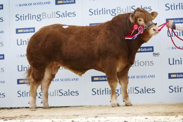 Goldies Justgreat sold for 9000gns
