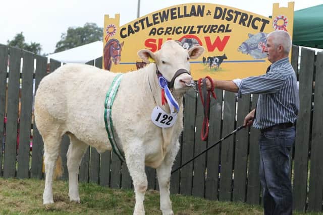 Sean Savage with his Reserve overall Blonde at Castlewellan Show on Saturday.. Pic Steven McAuley/Kevin McAuley Photography Multimedia