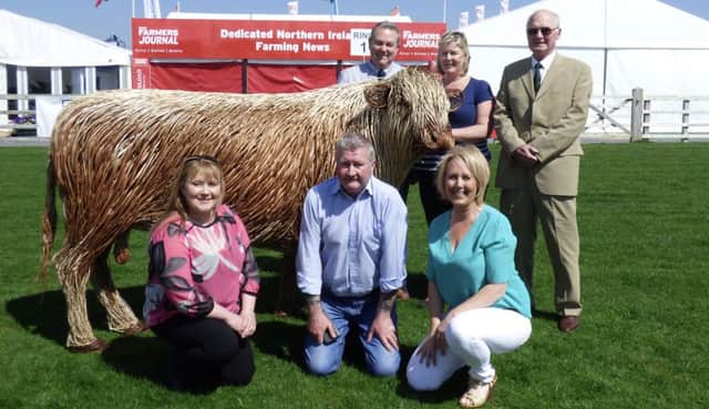 Rhonda Geary, Operations Director of the RUAS, welcomes the Irish Moiled willow bull from the Ulster Folk and Transport Museum to Balmoral. Included in the picture with Rhonda are IMCS president; Ian Simpson, Breed Registrar; Mark Logan, Breed Secretary; Gillian Steele, PRO; Michelle McCauley and Farm Manager of the UFTM; Robert Berry