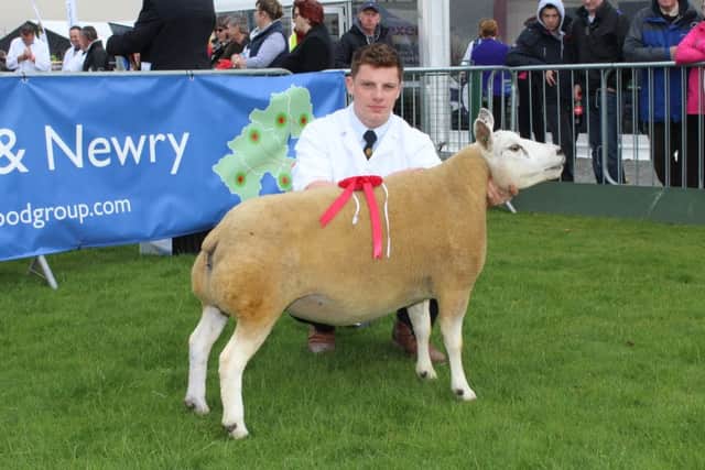 David Fullerton with the Altnagullion Flocks ewe, two shear and upwards class winner at the Balmoral Show.
