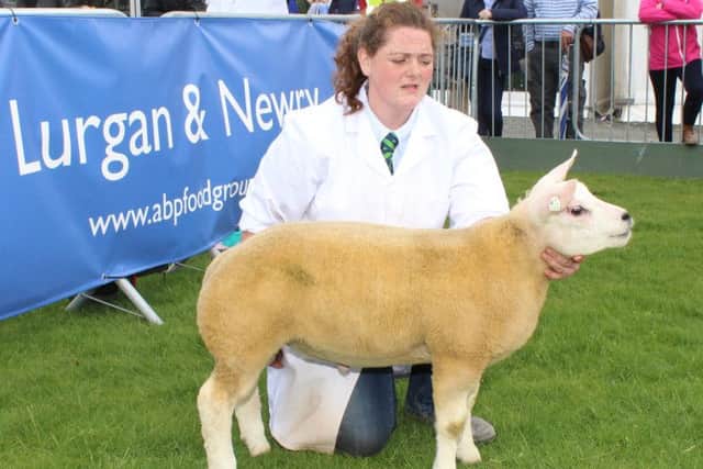 Elizabeth McAllister, Artnagullion Flock, Kells, Ballymena with her Ram Lamb class winner.