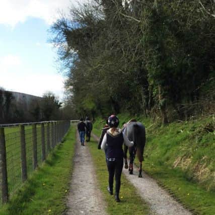 Level 3 Extended Diploma in Horse Management students long reining youngstock on the hacking track.