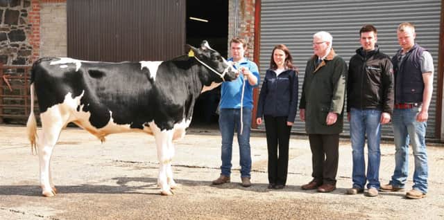 David McNaugher, Aghadowey, exhibited the champion Mullaugher Warren ET sold for 1,900gns. Included are judge Roy Cromie, Donegal; sponsors Chloe Kyle and David Anderson, Grassland Agro; and William McIlrath, Kilrea Mart.
