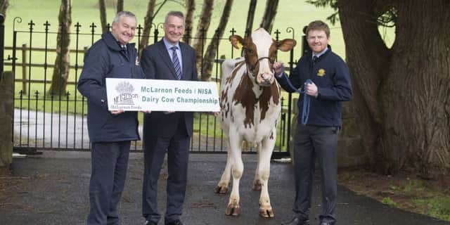 Looking forward to the 2016 McLarnon Feeds/NISA Dairy Cow Championship are (from left): Harold Stevenson (McLarnon Feeds Sales Manager), Colin McDonald (RUAS Chief Executive) and David Mawhinney (McLarnon Feeds Business Manager).