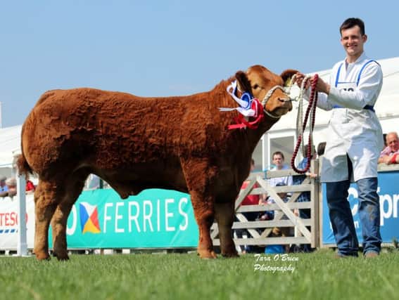 Maxwell Brothers were tapped out Reserve Commercial Champion and also got Reserve Junior Interbreed Champion.