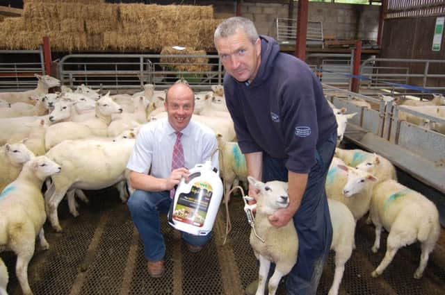 HVS' Paul Elwood on-farm with Alan Irwin, farm manager with Crosby Cleland, Saintfield, Co Down earlier this week
