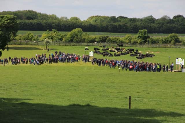 Some of the 2,000 farmers who attended the Newford Suckler Demonstration Farm in Athenry, County Galway move between stands on a tour of the farm.