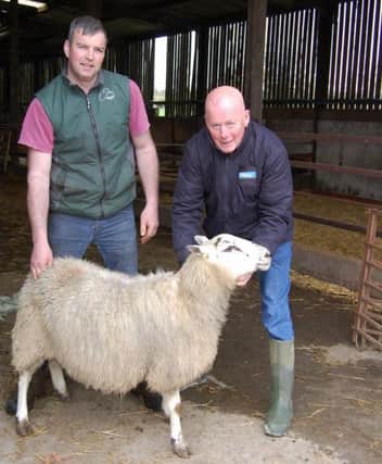 Hilltown sheep farmer Colum Woods with Elanco's Bill Ferris (right)